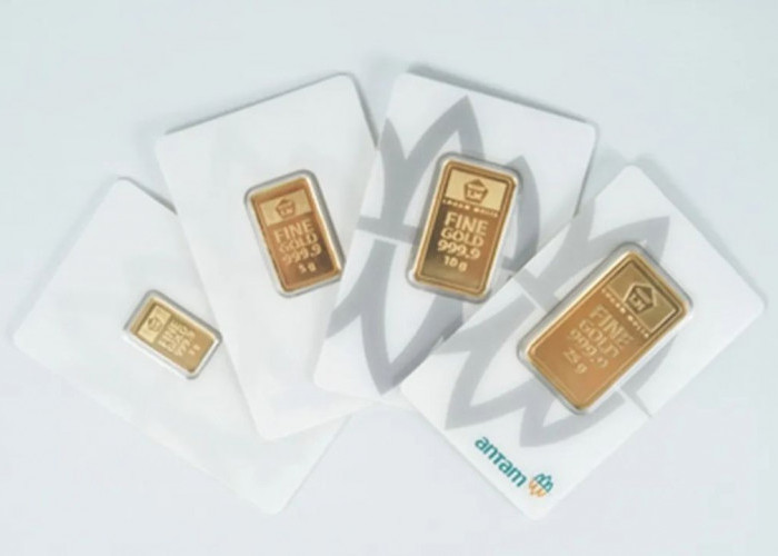 Update Harga Emas Antam Senin 13 Juli 2026, Berapa Harga Emas per Gram Hari Ini?