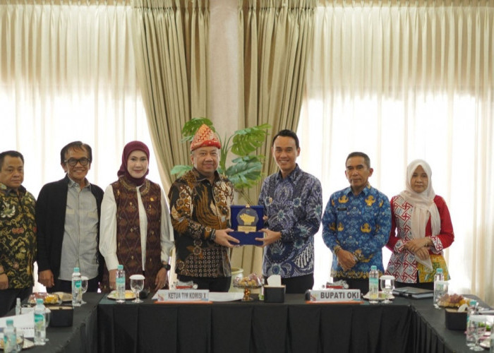 Bupati OKI Suarakan Kesejahteraan Guru PPPK Paruh Waktu ke Komisi X DPR RI