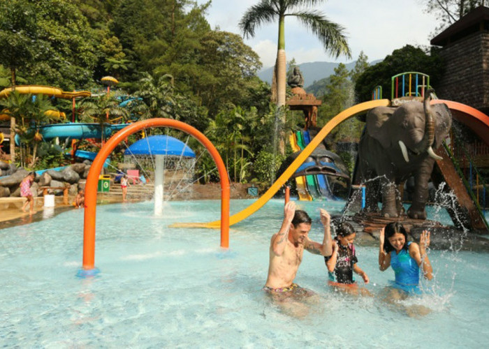 Tiga Tempat Terfavorit di Taman Safari Bogor yang Wajib Dikunjungi: Panduan Lengkap untuk Pengalaman Terbaik