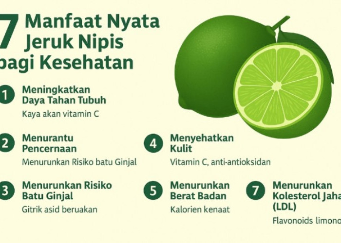 Bukan Mitos! Ini 7 Manfaat Nyata Jeruk Nipis untuk Kesehatan Tubuh