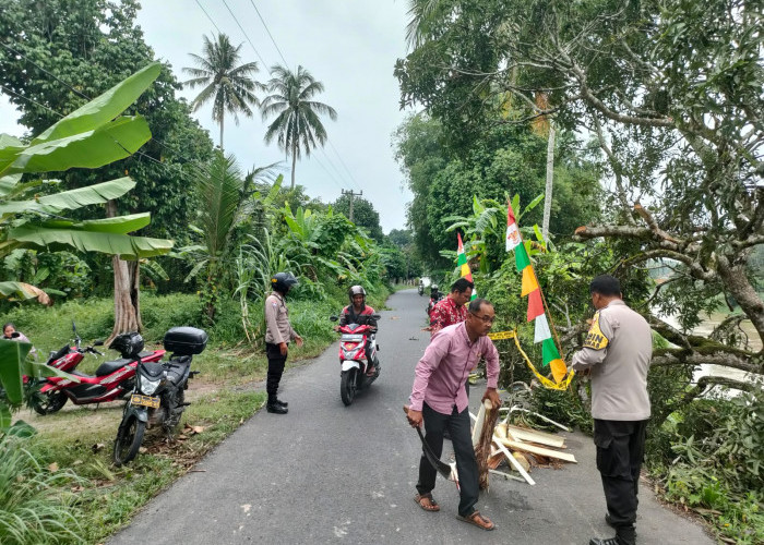 Tebing Jalan Longsor di Desa Pandan Arang Ogan Ilir, Polsek Rantau Alai Pasang Police Line dan Imbauan Warga