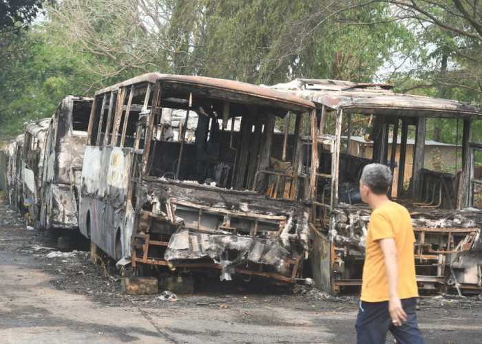 Polisi Selidiki Penyebab Terbakarnya 12 Bus Bangkai Trans Musi di Kawasan Terminal AAL Palembang