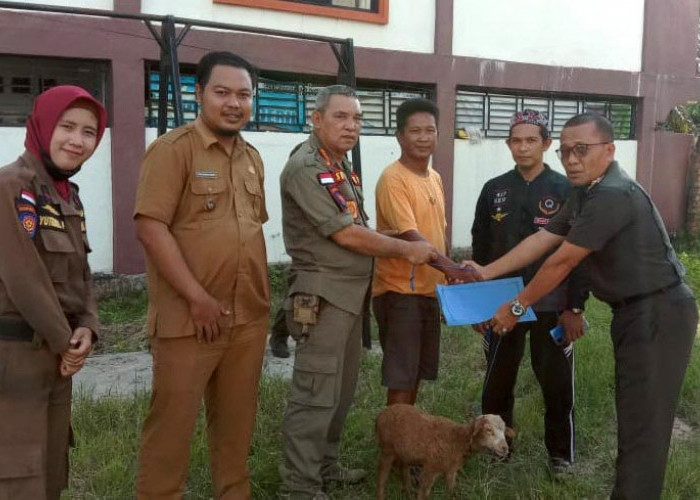 Kambingnya Berkeliaran Pemilik Dikenakan Denda, Satpol PP Muratara Terapkan Perda