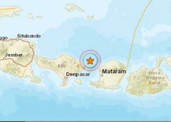 Bali Diguncang Gempa, Wilayah ini Terasa Getarannya