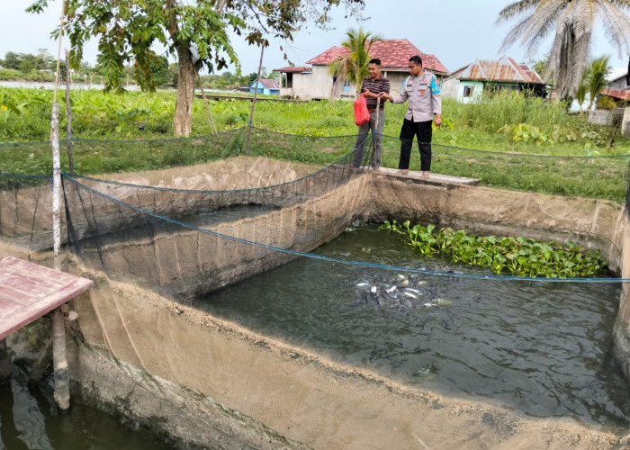 Polsek Pemulutan Ogan Ilir Kembangkan Ternak Ikan Dukung Program Ketahanan Pangan