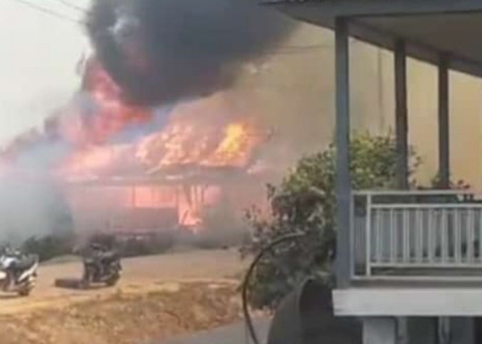 MasyaAllah, Kebakaran Lahan Gambut Hanguskan 2 Rumah Warga Tulung Selapan Timur