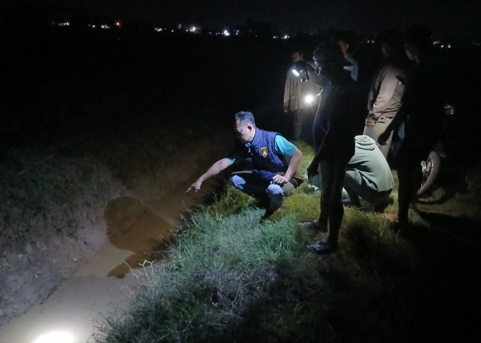 Tersengat Alat Setrum Ikan di Areal Persawahan Warga Desa Tugu Mulyo OKI Tewas
