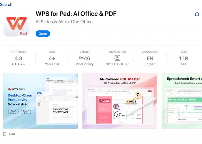 Tidak Expect Tampilan WPS PC Level di IPad, Ternyata Formatnya Bagus, Bisa Sematkan Simbol & Rumus