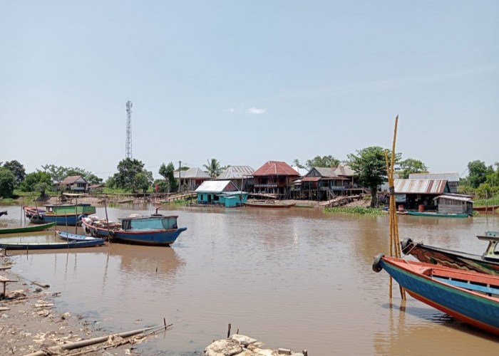 Warga Pinggiran Sungai Komering Diimbau Hati-Hati dan Waspada, Kemunculan Buaya