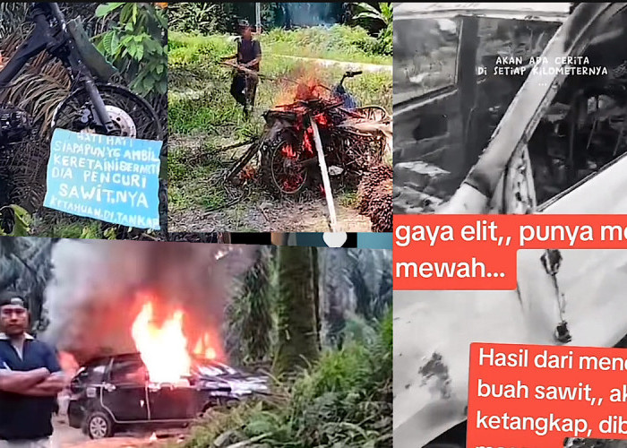 Kasih Efek Jera, Mobil dan Motor Pelaku Pencuri Sawit Dibakar Warga, Bahkan Dijadikan Monumen Peringatan! 