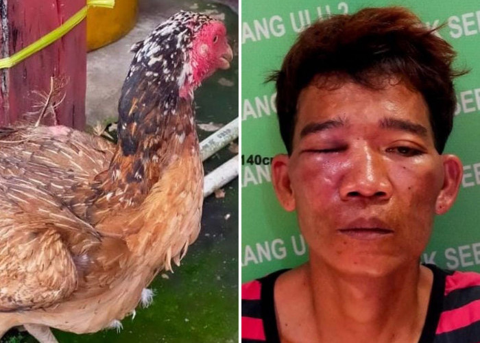 Kepergok Curi Ayam Betina di Seberang Ulu Palembang, Tholib Babak Belur Dimassa 