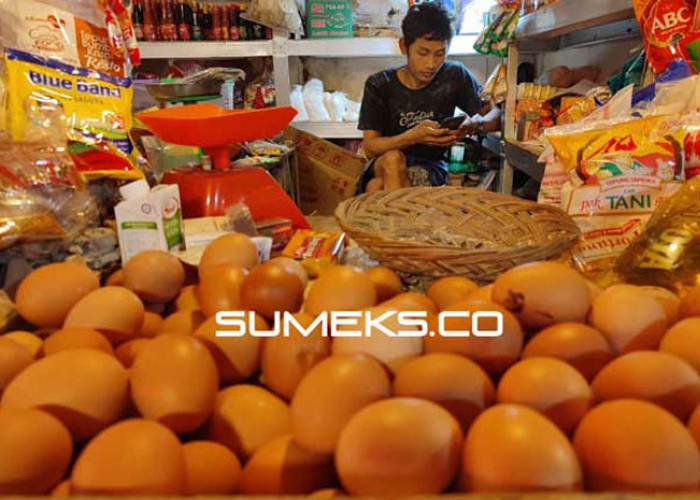 Harga Telur Ayam di Palembang Naik, dari Rp25 Ribu Menjadi Rp28 Ribu 