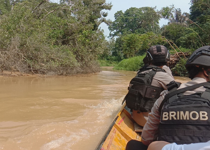 Tambang Emas Liar di Muratara Masih Marak, Aliran Sungai Rawas Semakin Keruh