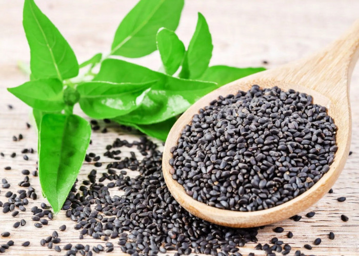 Kecil Namun Luar Biasa! Inilah 6 Manfaat Biji Selasih yang Harus Kamu Tau!