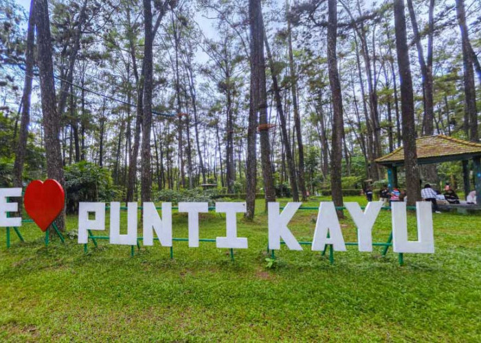 PUNTI KAYU, Hutan Wisata Alam di Tengah Kota yang Perlu Sentuhan Ajaib 