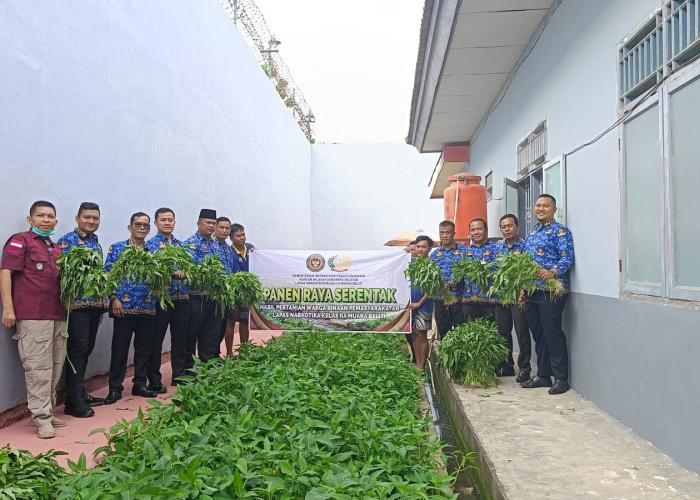 Lapas Narkotika Kelas IIA Muara Beliti Berhasil Panen Kangkung untuk Dukung Ketahanan Pangan Nasional