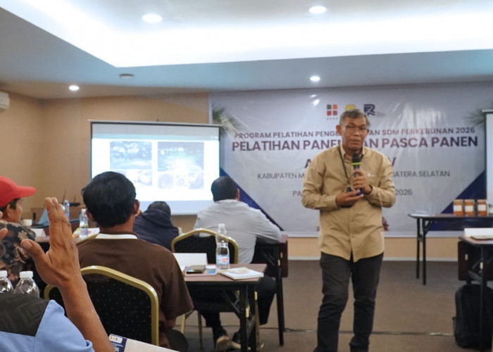 Bukan Sekadar Panen, Cara Menangani TBS Tentukan Nilai Hasil Sawit Rakyat di Provinsi Sumsel