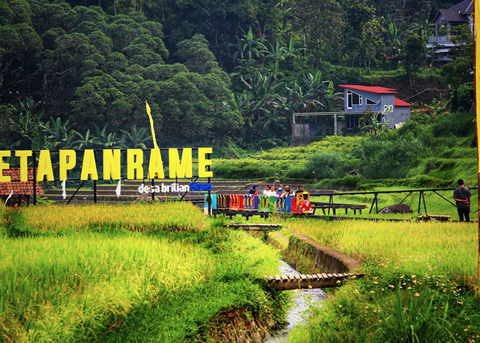 BRI Terus Berdayakan Desa, Program Desa BRILiaN 2024 Dorong Pengembangan Ekonomi Berkelanjutan