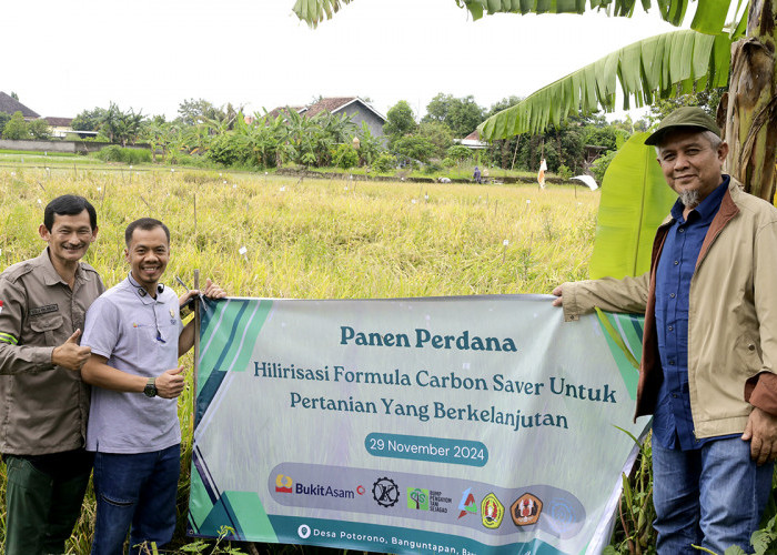 Gandeng Perguruan Tinggi hingga Petani, PTBA Kembangkan Inovasi Pertanian Berkelanjutan dengan Carbon Saver