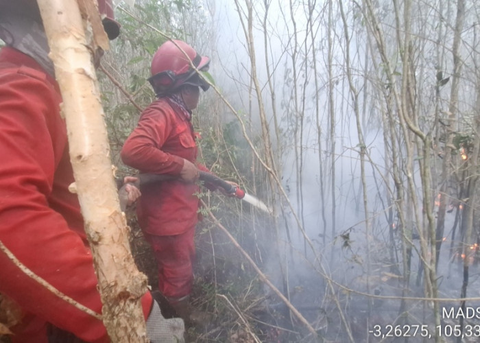 September dan Oktober Puncak Kemarau, Karhutla Terus Meluas 