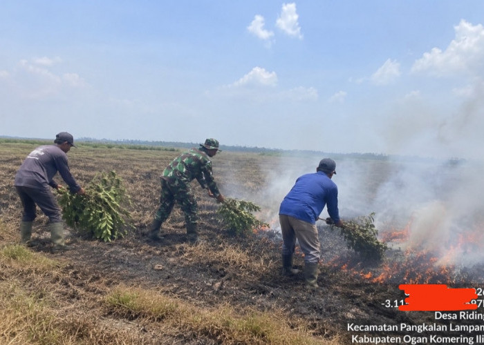 8 Hektar Lahan Terbakar di Desa Riding Pampangan OKI Berhasil Dipadamkan Babinsa