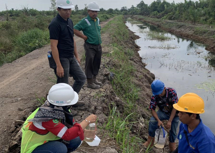 DLH Banyuasin Verifikasi Dugaan Pencemaran Limbah PT CLL, Begini Hasilnya