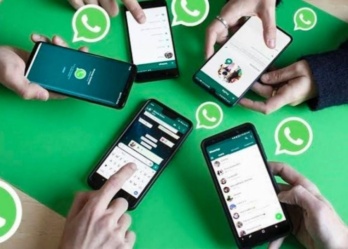 Penting! 7 Etika Berkomunikasi yang Baik Dalam Grup WhatsApp