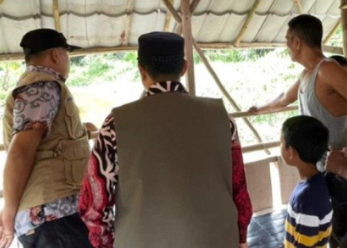 Warga Tanah Mas Banyuasin Digegerkan Kemunculan Buaya Sepanjang 4 Meter