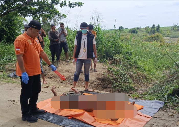 Penemuan Mayat di Rawa Lebak Kebun Tebu Milik PTPN 7 Cinta Manis Ogan Ilir, Polisi Ungkap Identitasnya