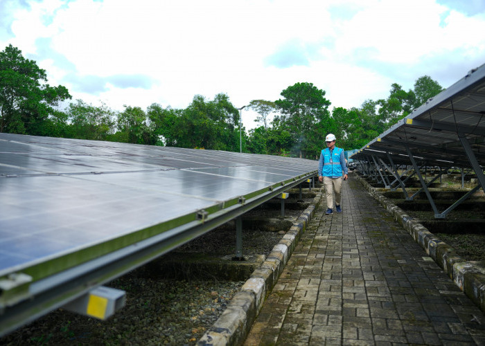 PLN Dukung Transisi Energi dan  Akses Listrik Merata di Sumsel Dihadapan Panja Ketenagalistrikan DPR RI