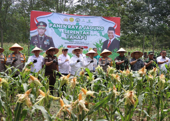 Kapolda Sumsel Hadiri Panen Raya Jagung Program Ketahanan Pangan di Ogan Ilir