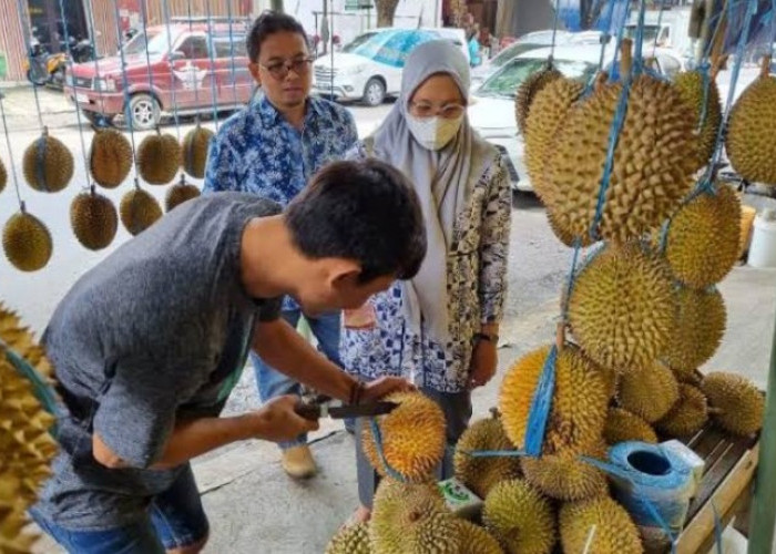 Wajib Tahu, Banjir Durian di Palembang Tak Terlepas dari 5 Daerah Penghasil Berikut Ini