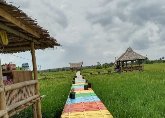 Agrowisata Sawah Pondok Bambu, Fasilitasnya Bisa untuk Meeting