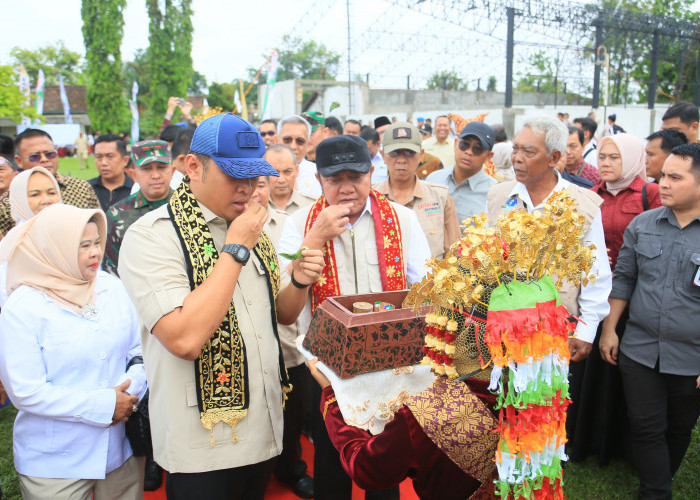 Dampingi Wamentan, Gubernur Sumsel Dorong Ketahanan Pangan Lewat Percepatan Tanam di OKU Timur