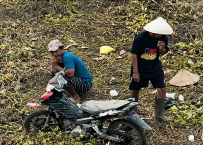 Polres OKI Selidiki Video Drone Dugaan Pembakaran Lahan di OKI