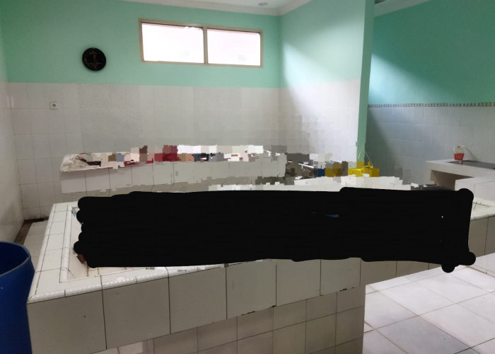 Lawan Arah Diduga Picu Lakalantas Maut di Kertapati Palembang, Ibu dan Anak Tewas Sopir Truk Diamankan