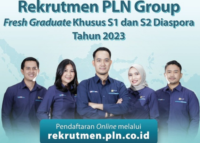 Info Lowongan Kerja PT PLN Tersedia 3 Posisi yang Dibutuhkan, Fresh Graduate Boleh Melamar