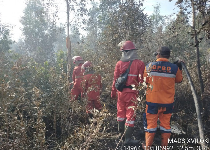 Terpantau 4 Titik Fire Spot di OKI, Lokasi Karhutla Dilakukan Pendinginan