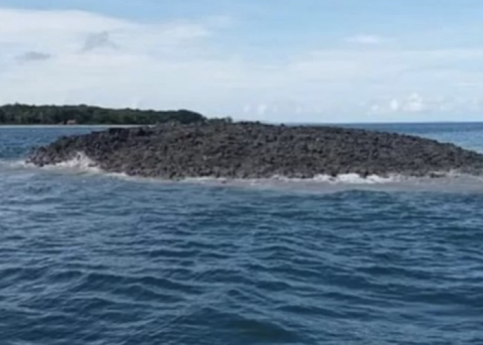 Usai Gempa di Maluku, Muncul Pulau Karang Baru di Perairan Kepulauan Tanimbar