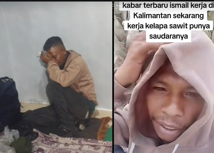 Ismail Pemuda NTT Yang Cintanya Ditolak Wanita Jember Sudah Kerja di Kebun Sawit di Kalimantan  