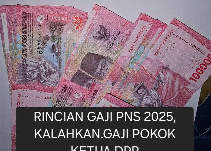 Rincian Selengkapnya Gaji PNS 2025: Mulai Golongan Terendah, Tertinggi Kalahkan Gaji Pokok Ketua DPR!