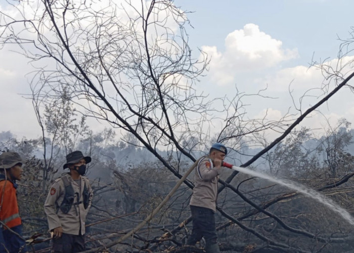 Kebakaran 4 Hektare Lahan Gambut di Ogan Ilir, Petugas Kesulitan Lakukan Pemadaman