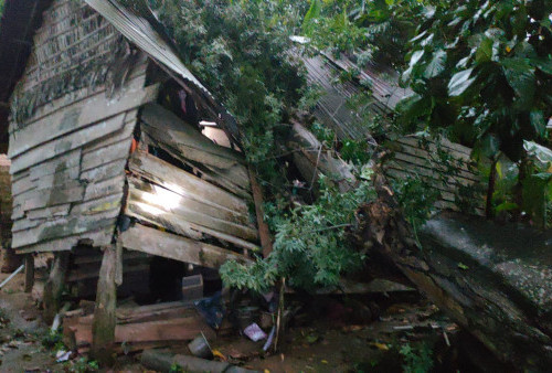 Hujan dan Angin Kencang, Rumah Sarbini Tertimpa Pohon Besar
