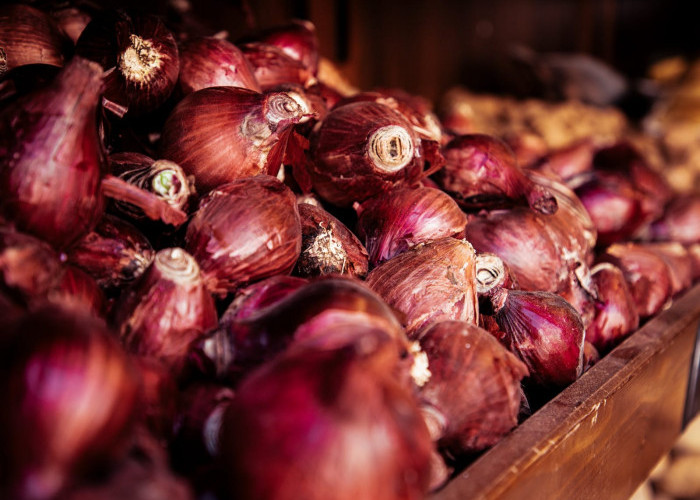 Mulai Sekarang Jangan Dibuang! Ini 5 Manfaat Kulit Bawang Merah untuk Tanaman Hias