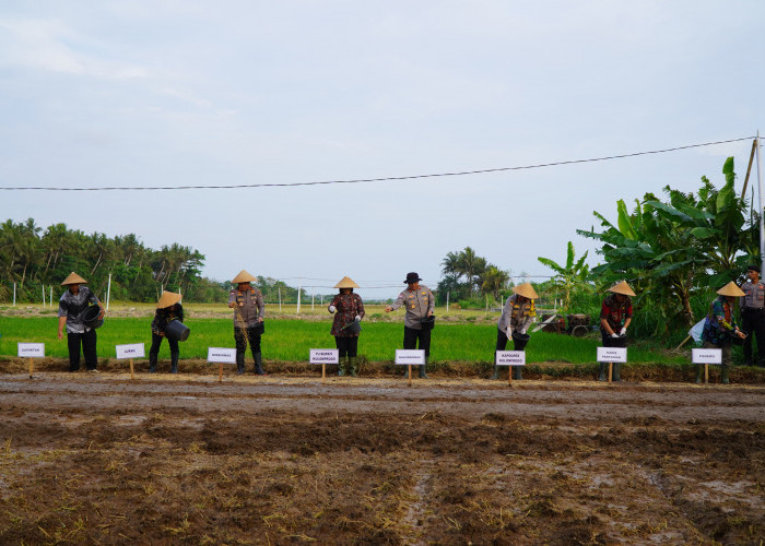 Dukung Ketahanan Pangan Nasional, Kakorbinmas Baharkam Polri Semai Padi di Kulonprogo