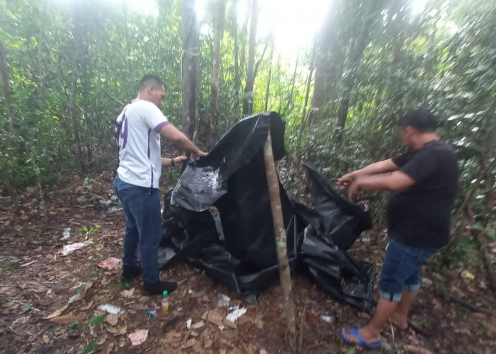 Dua Pondok di Kebun Desa Cengal OKI Dibongkar Paksa, Polisi Temukan Benda Ini