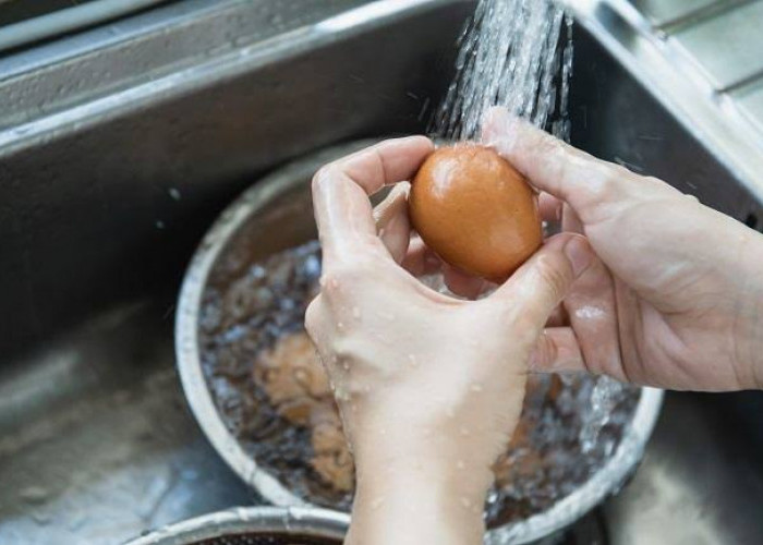 AWAS! 5 Bahan Makanan Ini Ternyata Jika Dicuci Bisa Terkontaminasi Bakteri? Cek Kebenarannya Disini