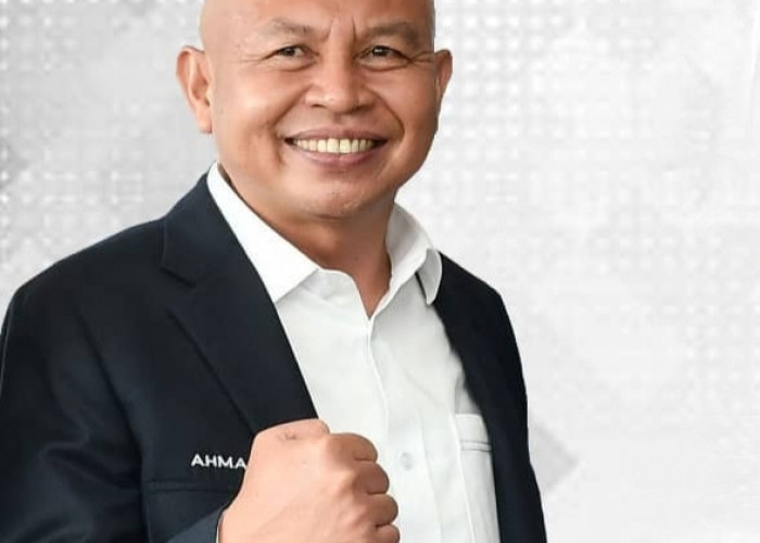 NasDem Ogan Ilir Nonaktifkan Arif Fahlevi dari Ketua Komisi III DPRD Ogan Ilir, Buntut Proposal Kontroversi