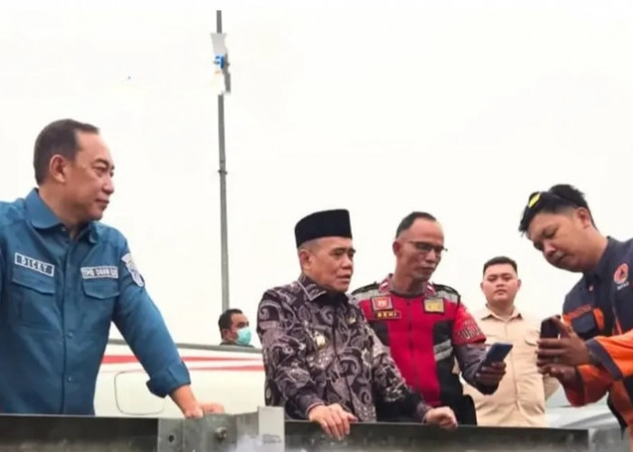 Wabup Ogan Ilir Didampingi Sekda, Tinjau Karhutla di Area Tol Palindra