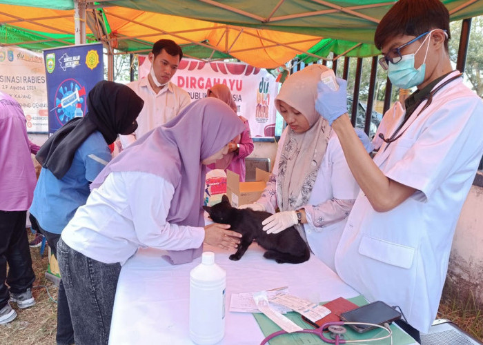 Upaya Pencegahan Rabies, Hewan Peliharaan di OKI Divaksin